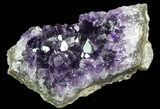 Purple Amethyst Cluster - Uruguay #66763-2
